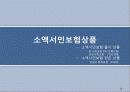 소액서민보험의 문제점 및 해결방안 10페이지