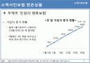소액서민보험의 문제점 및 해결방안 13페이지