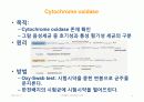 IMViC 생화학적 검사 15페이지
