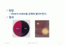 IMViC 생화학적 검사 19페이지