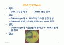 IMViC 생화학적 검사 24페이지