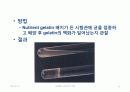 IMViC 생화학적 검사 27페이지