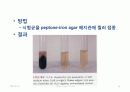 IMViC 생화학적 검사 31페이지