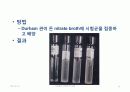 IMViC 생화학적 검사 35페이지
