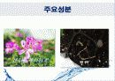 클렌징 워터(Cleansing Water)에 대해서 17페이지