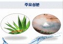 클렌징 워터(Cleansing Water)에 대해서 21페이지