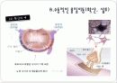 세포막을 통한 물질이동 10페이지
