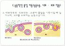 세포막을 통한 물질이동 22페이지