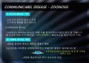 [미생물 생태학] communicable diseases by contact with animals 4페이지