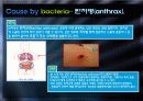 [미생물 생태학] communicable diseases by contact with animals 8페이지