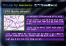[미생물 생태학] communicable diseases by contact with animals 9페이지