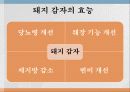 돼지 감자 6페이지
