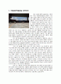 [중국의 과학기술과 전통문화] 중국과 발해의 유물들 -국립중앙박물관 견학문 2페이지