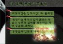 외식 상권 분석  4페이지
