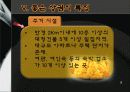 외식 상권 분석  9페이지