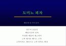 한국 도미노 피자 마케팅 분석 16페이지