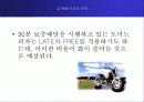 한국 도미노 피자 마케팅 분석 18페이지