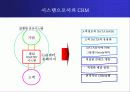 한국 도미노 피자 마케팅 분석 24페이지