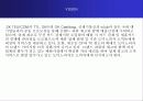 한국 도미노 피자 마케팅 분석 25페이지