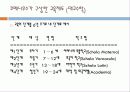 요한 코메니우스(Johann Amos Comenius)의 교육 철학 8페이지