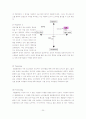 리바이스와 CK의 마케팅 분석 24페이지