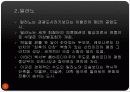 이탈리아 관광도시소개 8페이지