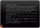 이탈리아 관광도시소개 30페이지