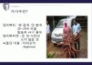 카사바(CASSAVA) 5페이지