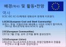 3개의 국제 기구(OECD, 유럽연합, WHO)를 중심으로 살펴본 국제기구 14페이지