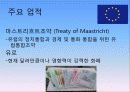 3개의 국제 기구(OECD, 유럽연합, WHO)를 중심으로 살펴본 국제기구 17페이지