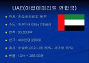 세계 경제의 이해(UAE)-1 (Miracle Dubai, miracle UAE) 4페이지