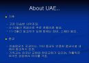 세계 경제의 이해(UAE)-1 (Miracle Dubai, miracle UAE) 7페이지