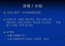 세계 경제의 이해(UAE)-1 (Miracle Dubai, miracle UAE) 10페이지