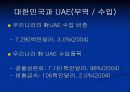 세계 경제의 이해(UAE)-1 (Miracle Dubai, miracle UAE) 16페이지