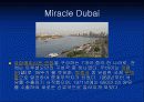 세계 경제의 이해(UAE)-1 (Miracle Dubai, miracle UAE) 17페이지