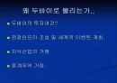 세계 경제의 이해(UAE)-1 (Miracle Dubai, miracle UAE) 22페이지