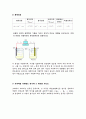화학전지 결과보고서 6페이지