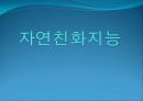 자연 친화 지능에 대한 탐구 1페이지