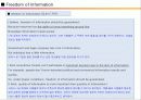 Freedom of Information & Wikileaks 3페이지