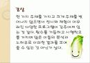 광주김치문화축제 15페이지