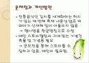 광주김치문화축제 17페이지