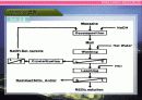 (강추) 희토류 공정 설계 (Rare earth resources) 7페이지