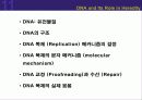 (강추) DNA의 유전 (Heredity)에서의 역할 2페이지