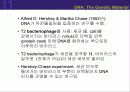 (강추) DNA의 유전 (Heredity)에서의 역할 8페이지