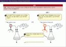 (강추) DNA의 유전 (Heredity)에서의 역할 10페이지