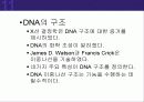 (강추) DNA의 유전 (Heredity)에서의 역할 12페이지