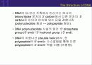 (강추) DNA의 유전 (Heredity)에서의 역할 21페이지
