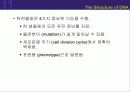 (강추) DNA의 유전 (Heredity)에서의 역할 23페이지