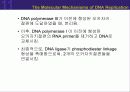 (강추) DNA의 유전 (Heredity)에서의 역할 46페이지