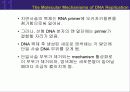 (강추) DNA의 유전 (Heredity)에서의 역할 49페이지